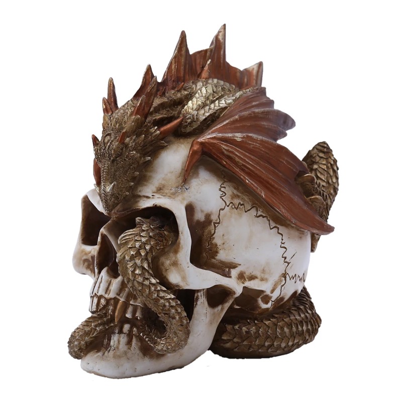Skull Dragon Resin Figurine -  - Art Craft Bar ulasan dan harga