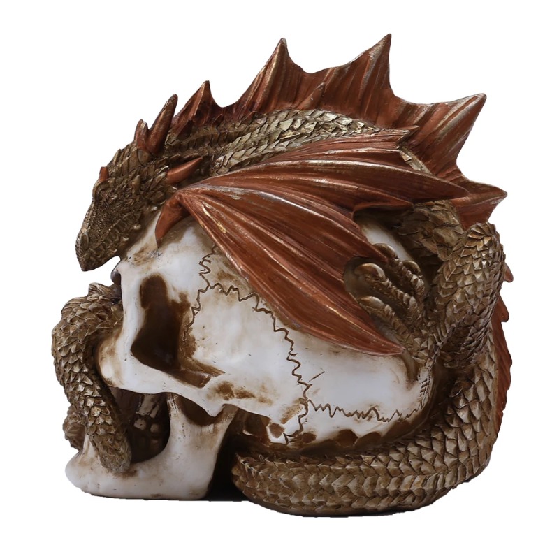 Skull Dragon Resin Figurine -  - Art Craft Bar ulasan dan harga